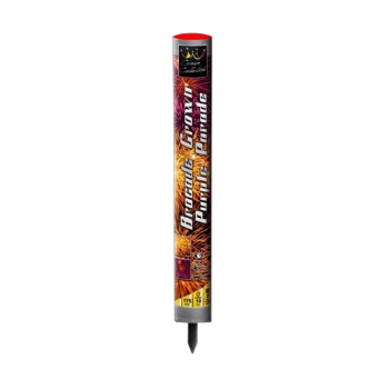 Brocade Crown Parade Purple Tip