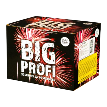 Big Profi